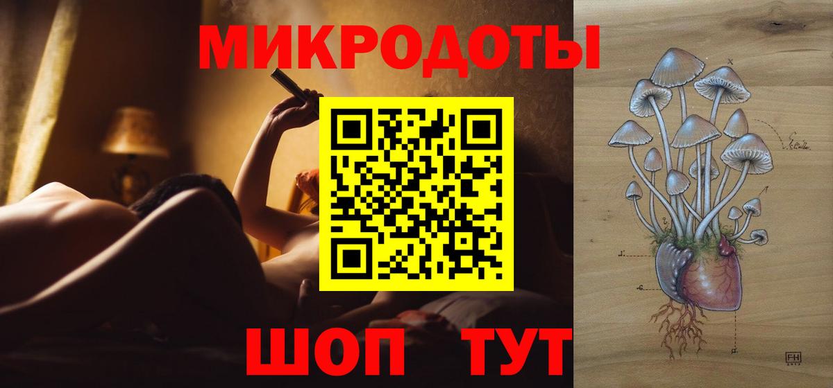 Элиста  Псилоцибиновые грибы Psilocybe  Псилоцибиновые грибы мицелий  Вход с VPN 